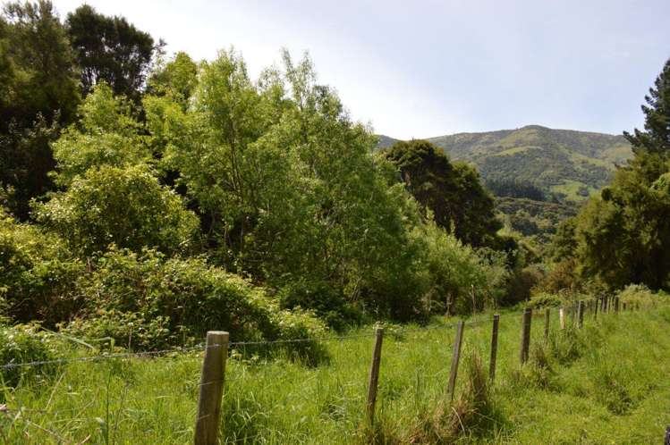 50 Le Bons Valley Road Le Bons Bay_8