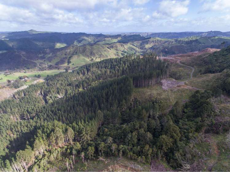 15 State Highway 49 Ohakune_10