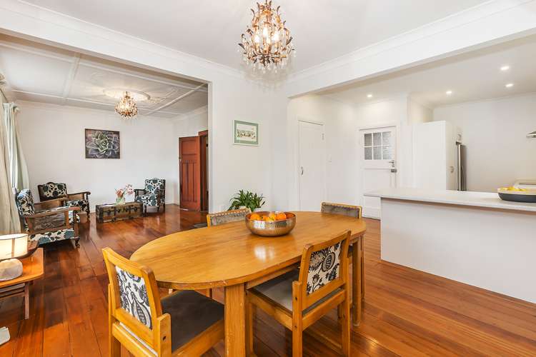 64 Tio Tio Road Miramar_5