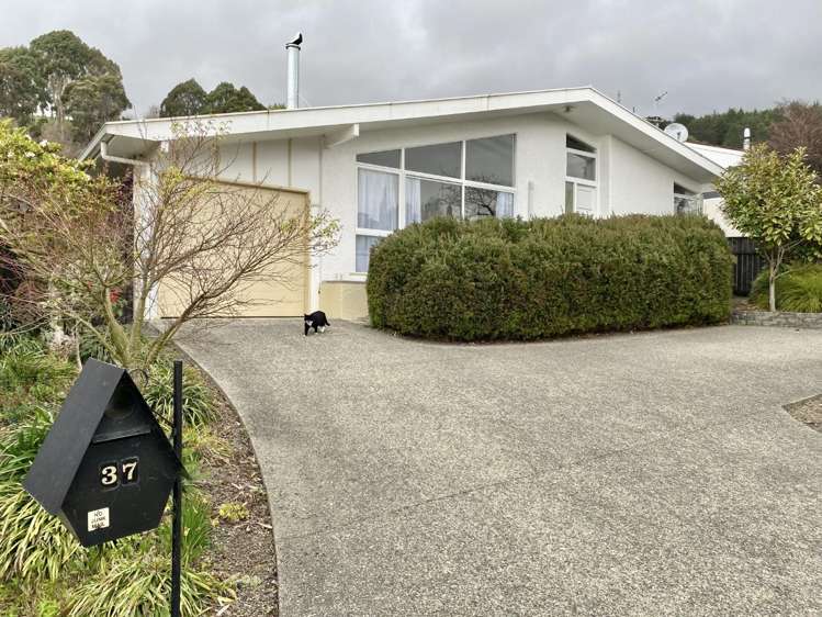 37 Churchill Avenue Richmond_12