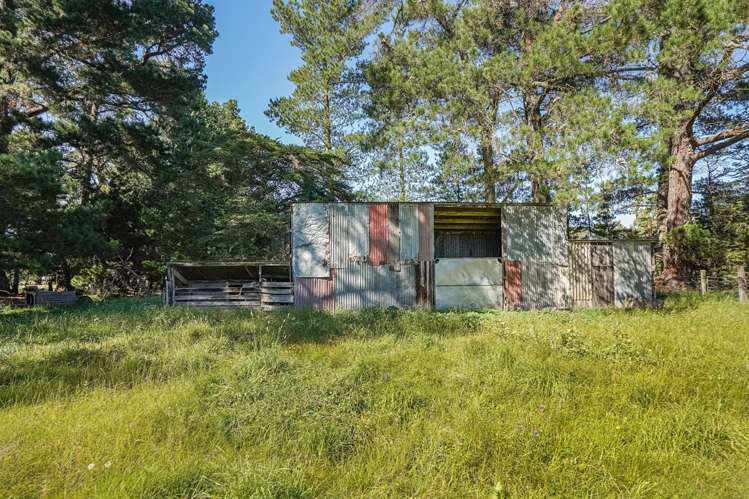 373 Lehmans Road Fernside_27