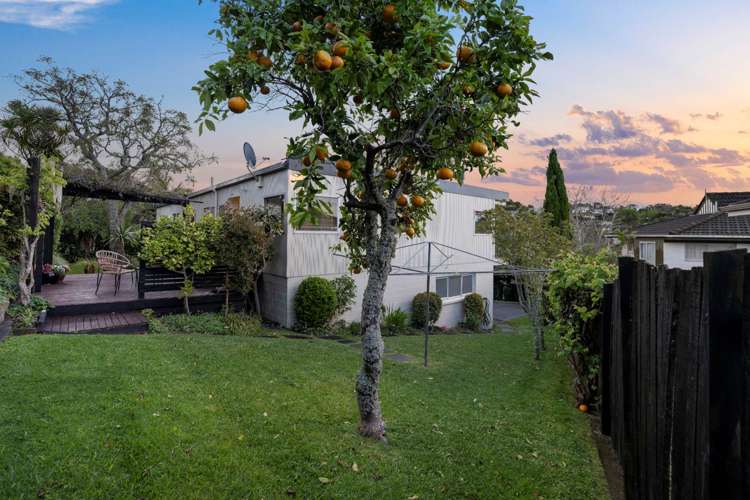 44 Maxwelton Drive Mairangi Bay_31