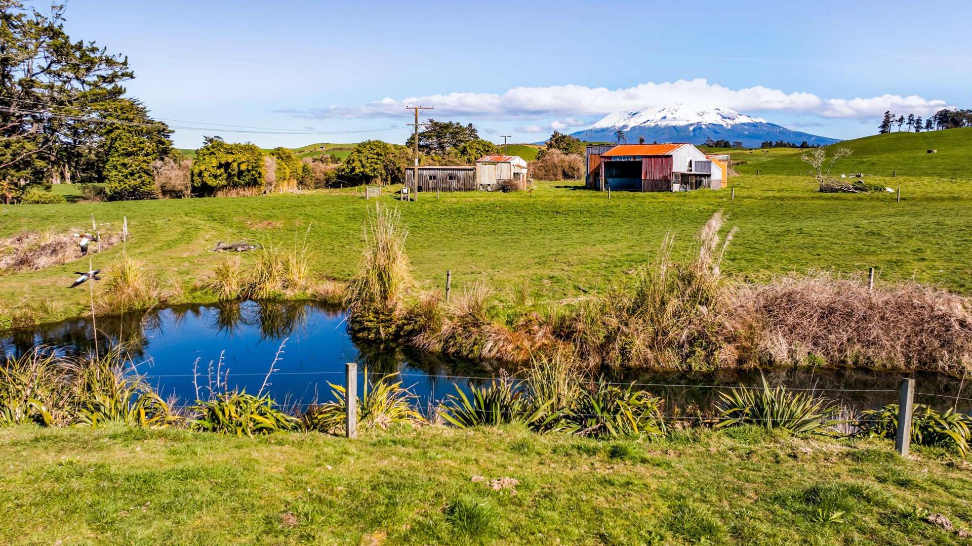 86 Manganui Road Sections Stratford_0