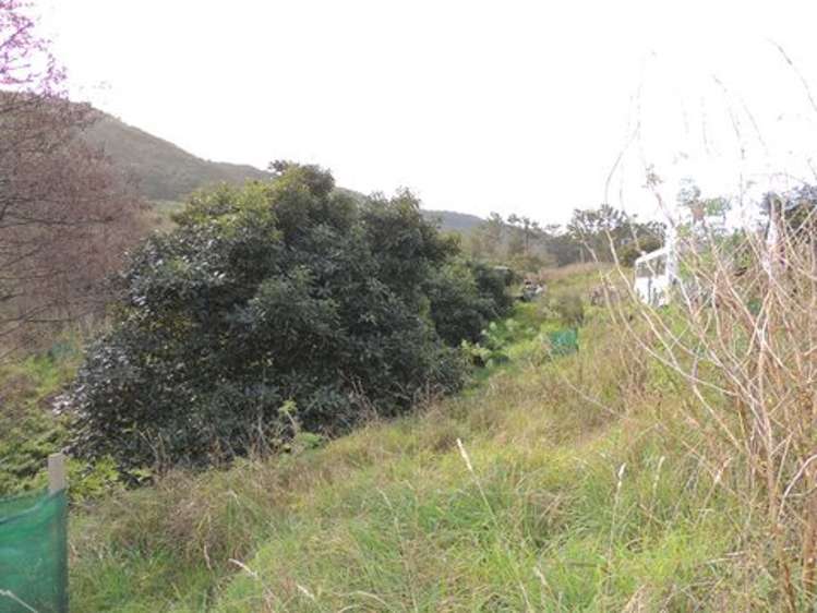 Mahanga Road Mahia_15