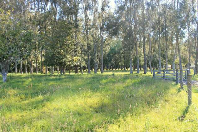 3b Macadamia Lane Kerikeri Surrounds_4