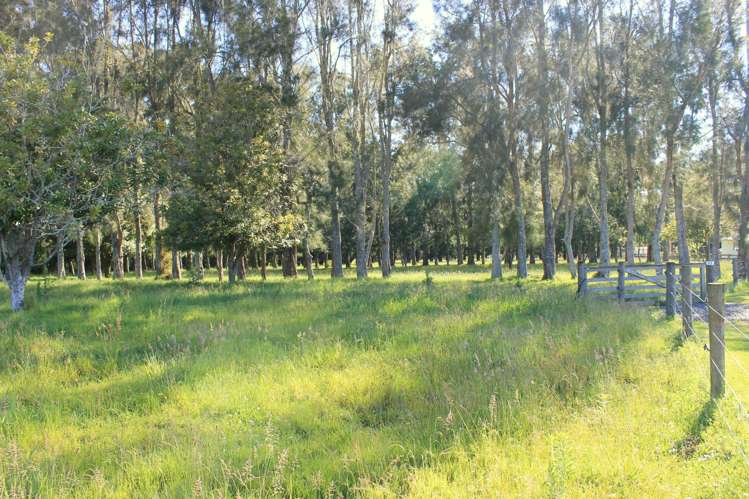 3b Macadamia Lane Kerikeri Surrounds_4