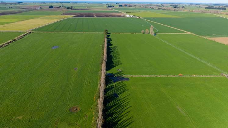 1467 Boundary Road Ashburton_5