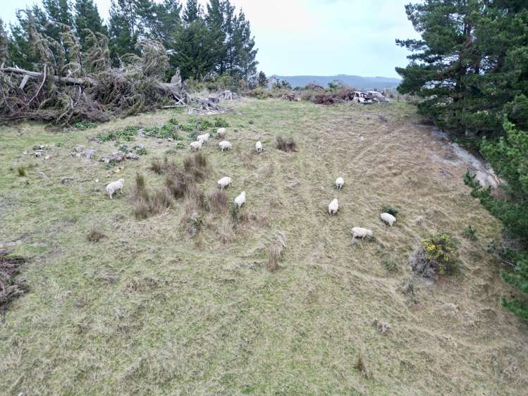 45 Taieri Beach Road Taieri Beach_13
