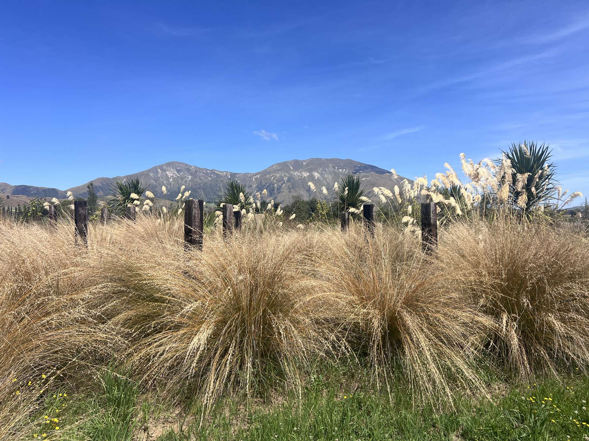 16 Soper Street Athol_0