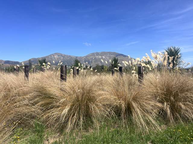 Landscaped Section Ready For Your Dream Home