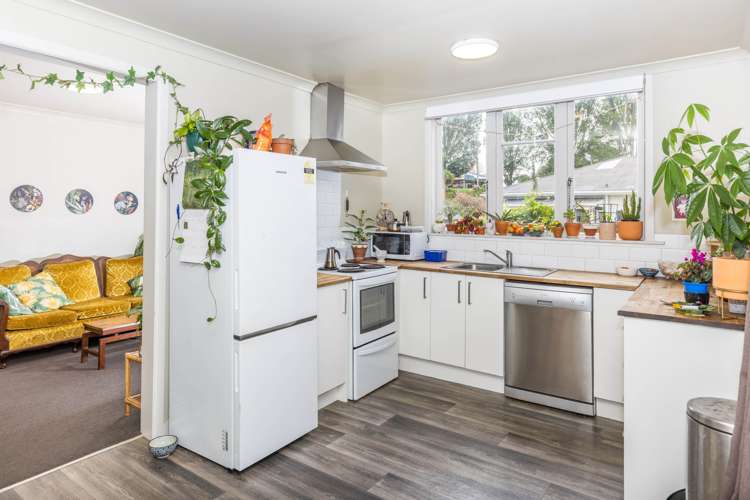 22a Te Aroha Street Hamilton East_5