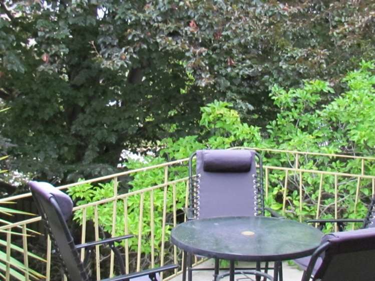 49 Horace Street Cromwell_13