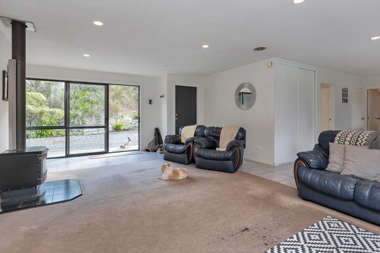 917 Springfield Road Mangapai and Surrounds_11