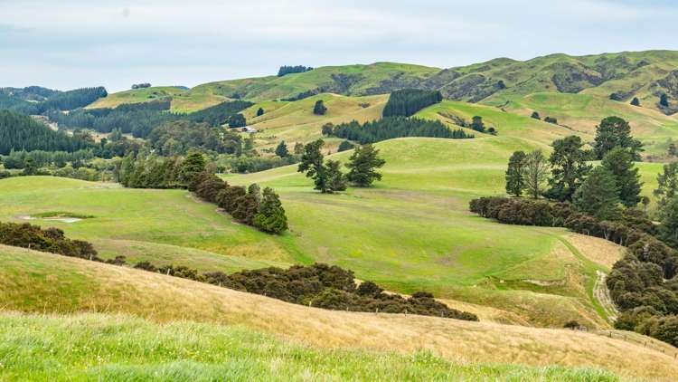 48 Heathfield Road Greta Valley_21