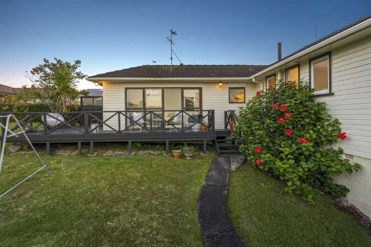 67 Mcleod Road Te Atatu South_24