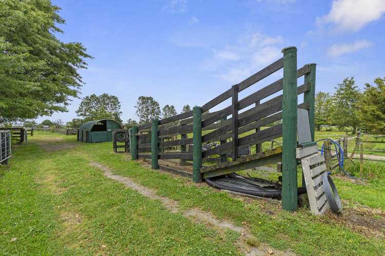 138a Mccabe Road Te Aroha_16