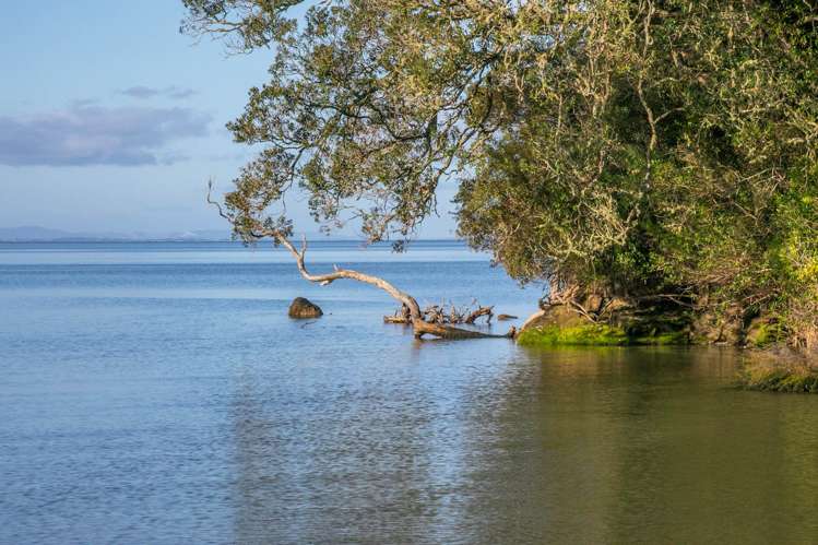 5 Paturoa Road Titirangi_33