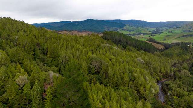 322 Kawakawa-Orere Road Kawakawa Bay_1