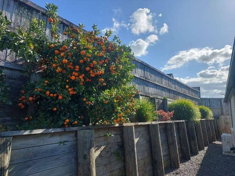 17 Santiago Place Flagstaff_1