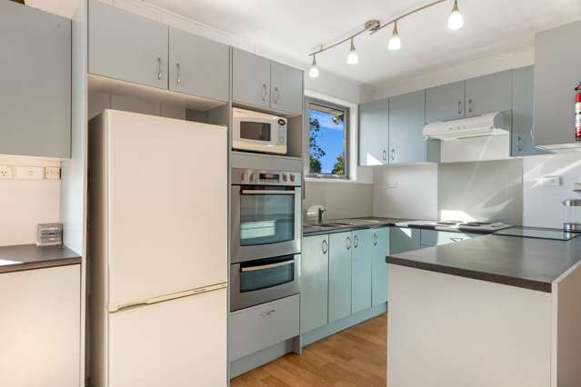 29 Havelock Street Renwick_4