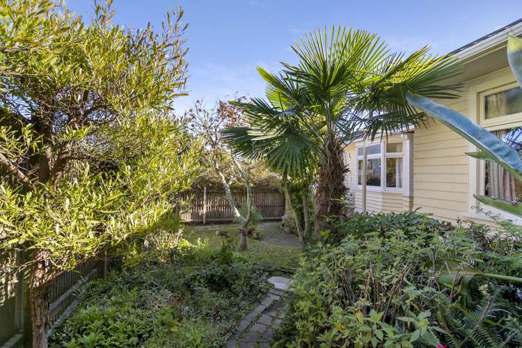 119 Grove Street The Wood_18