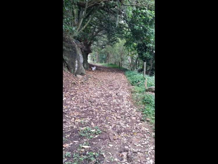 115 Waiare Road Okaihau_9