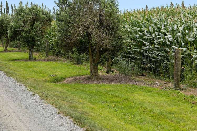 349 Wakanui Road Ashburton_14