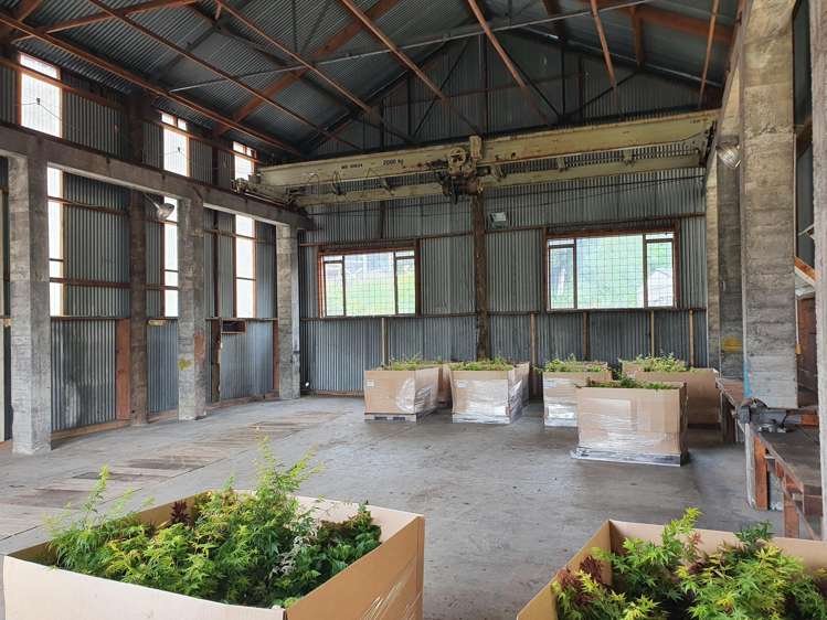 59 Rimu Street Strandon_8