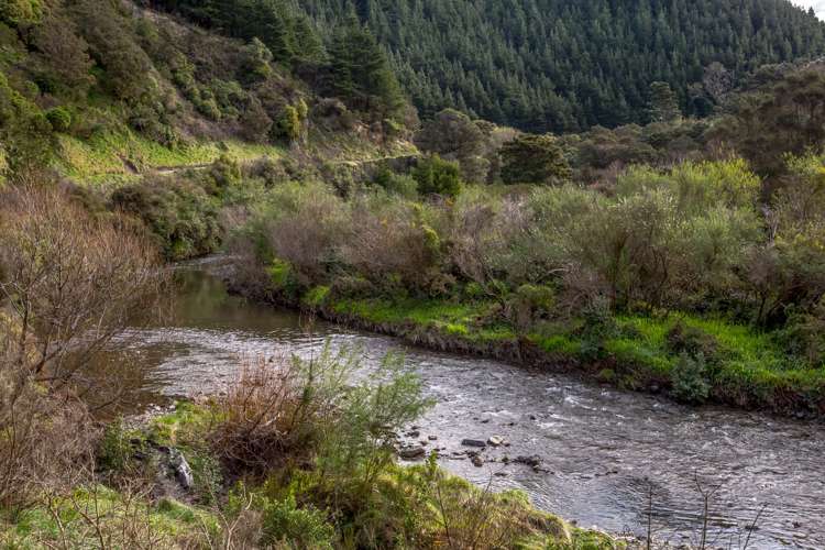 512 Mangatarere Valley Road Carterton_13