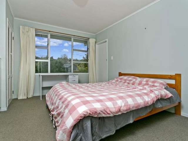 58 Saint Leonards Road Mount Eden_2