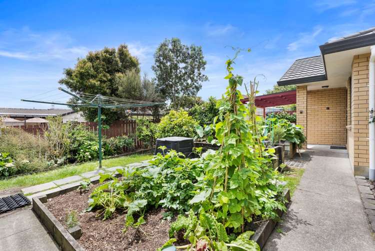 3 Carling Avenue Massey_15