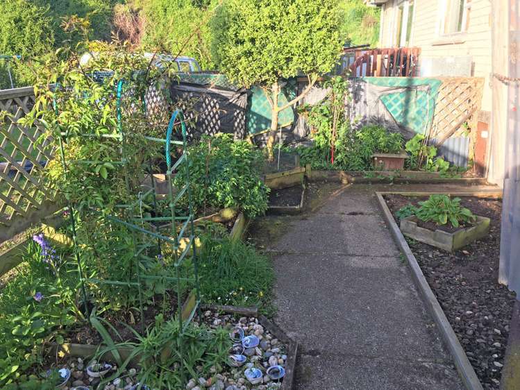 13a Greenacres Street Macandrew Bay_5