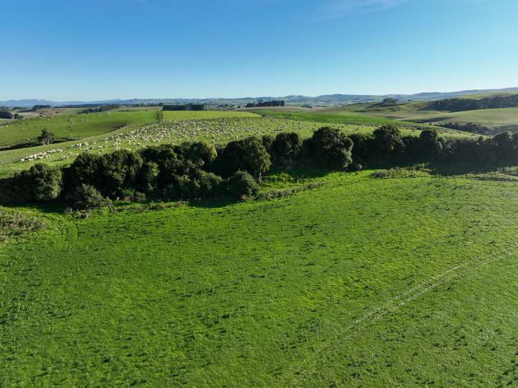 189 Leonard Road Wyndham Surrounds_8