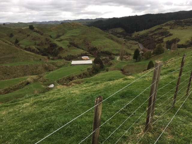 3434 State Highway 4 Aria_1