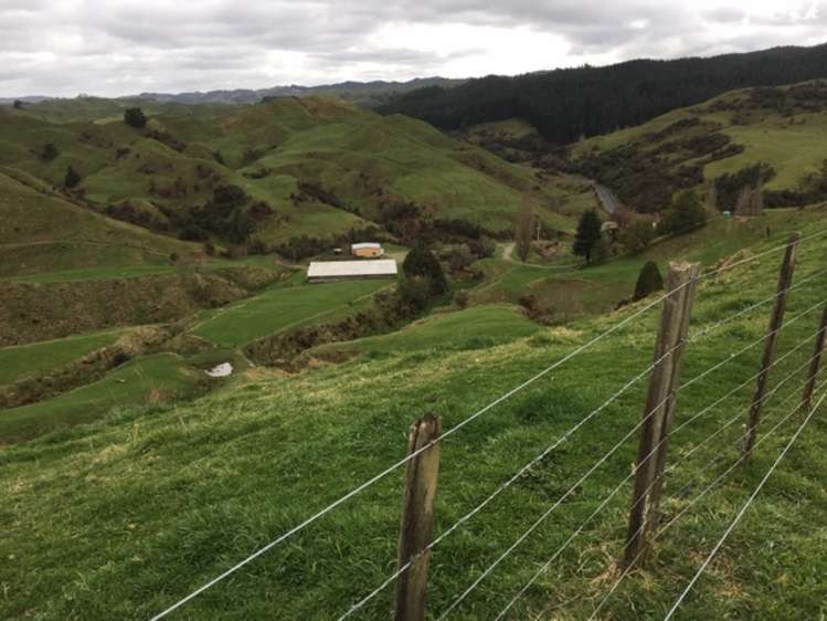 3434 State Highway 4 Aria_1