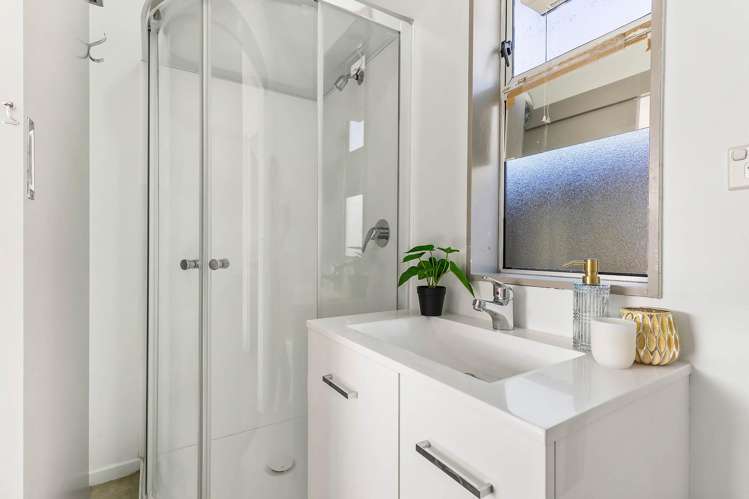8 Liverpool Street Miramar_13