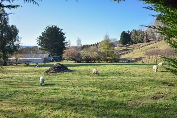 3 Law Road Allanton_18