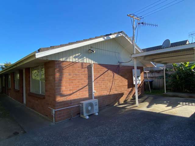 1/13 Gavin Street Ellerslie_2