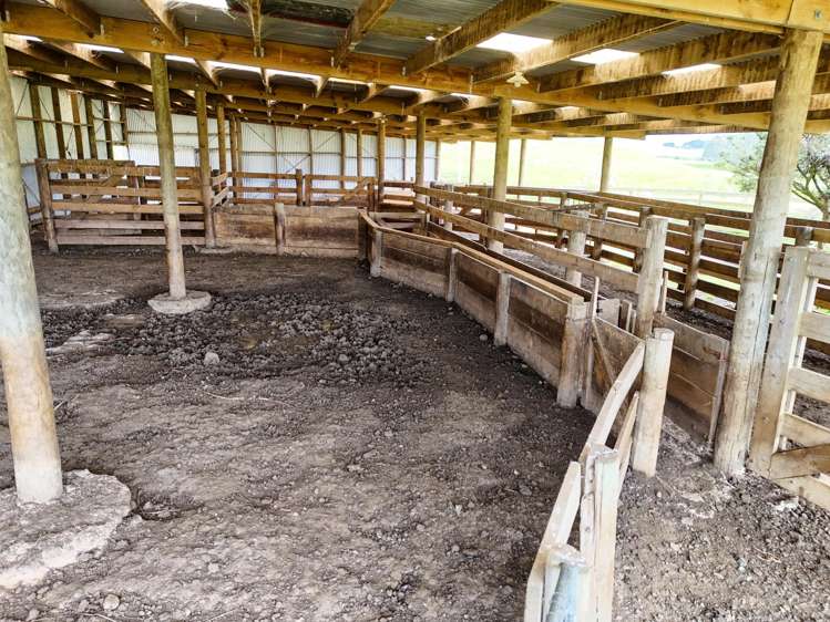 124 Niagara Waikawa Road Tokanui_12