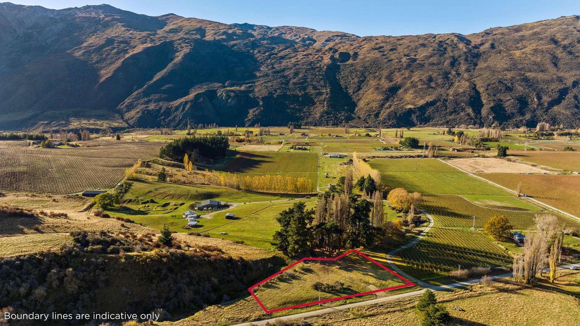 Gibbston Back Road Gibbston_0