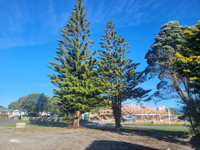 160 Weld Street Hokitika_1