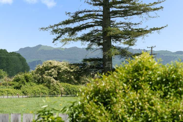 53 Puriri Crescent Edgecumbe_16