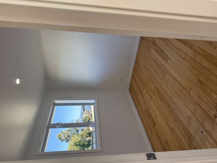 111 Pembroke Street Hamilton Lake_3