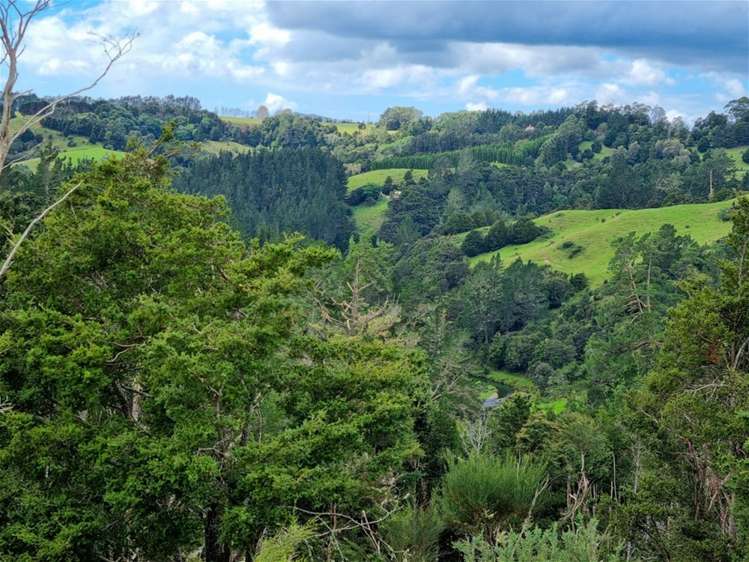 69 Fraser Road Kawakawa_13