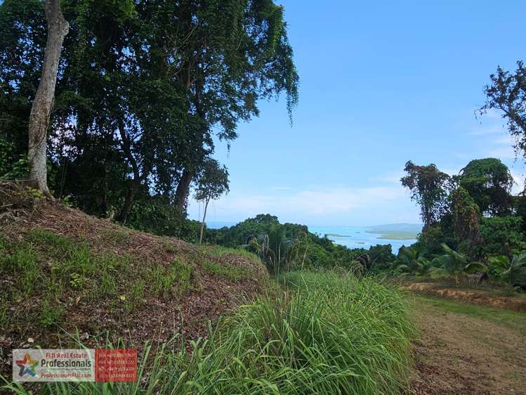 Address withheld Savusavu_16