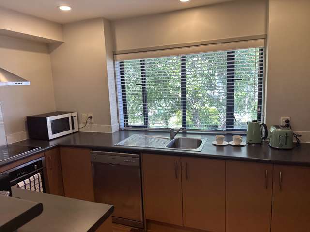 3 Dovedale Place Parnell_2