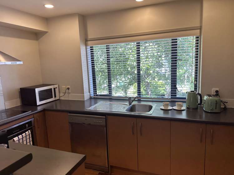 3 Dovedale Place Parnell_1