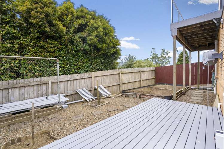 40 Carlton Street Hillsborough_30