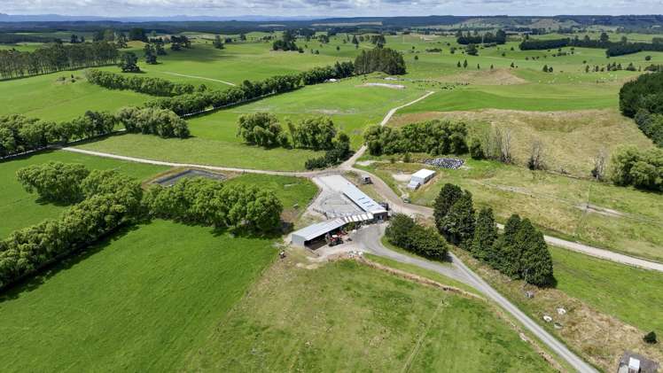 62 Ngamotu Road Rerewhakaaitu_9