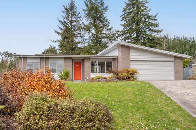 95B Tihi Road Springfield_22
